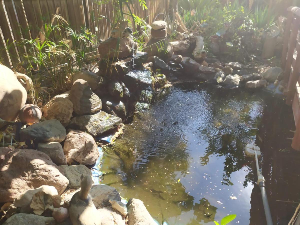 Lotus Turtle Garden Eilat Apartment Exterior photo